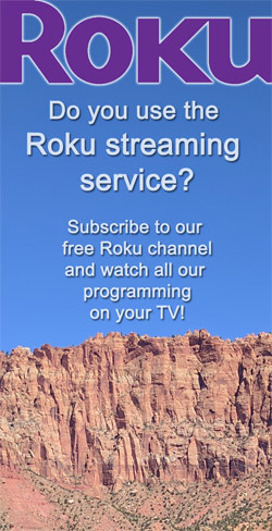 Roku Streaming Channel