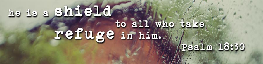 He is a shield to all who take refuge in Him!